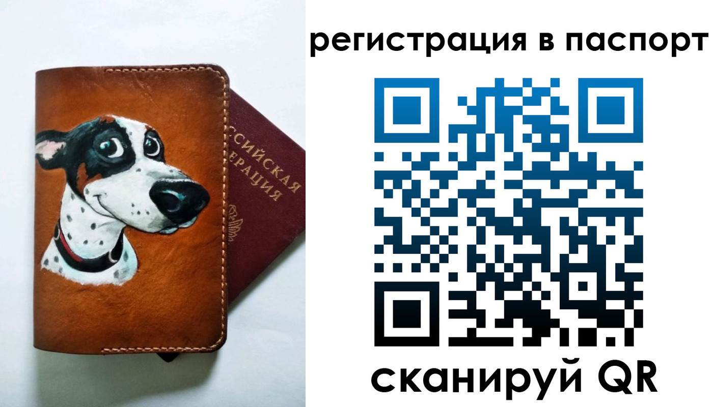 прописка штамп в Новошахтинске